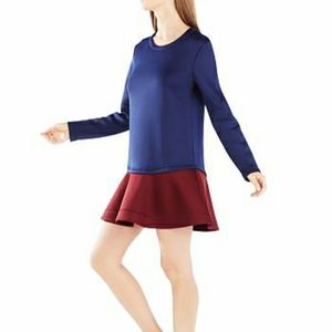 Bcbgmaxazria Colorblock Genesa Dress NWT